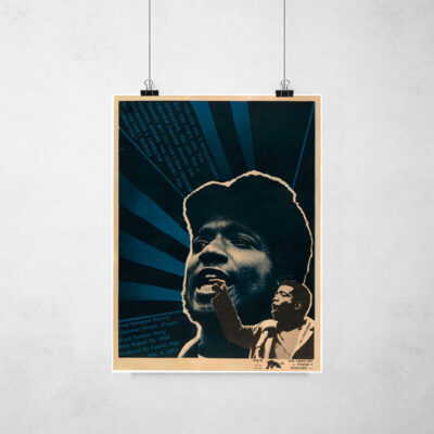 Poster - Movimento Pantera Negra - Emory Douglas