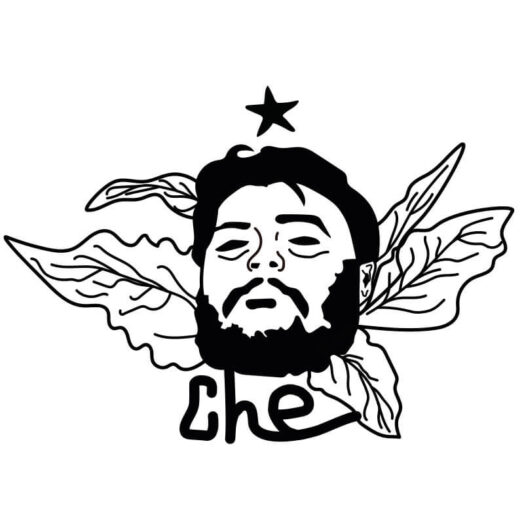 Ilustração Che Guevara por Alinne Martins