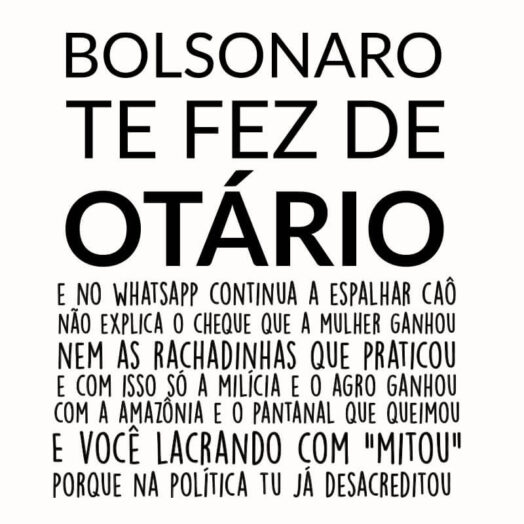 Camiseta Bolsonaro te fez de otario ilustraçao