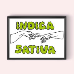 Poster – Indica, Sativa