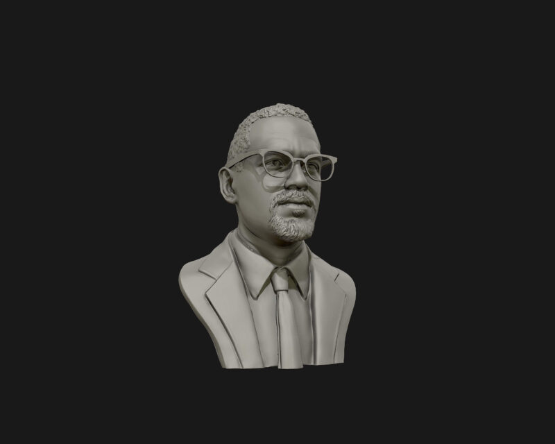 Busto 3d - Malcolm X - Image 2