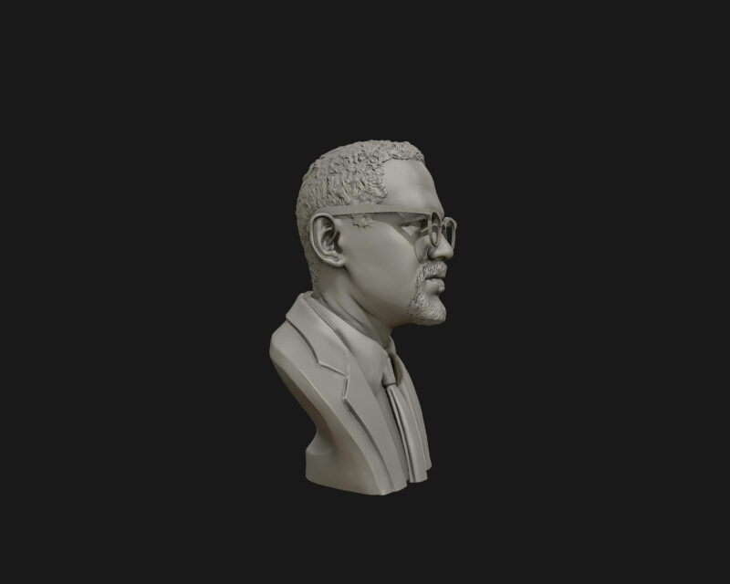 Busto 3d - Malcolm X - Image 4