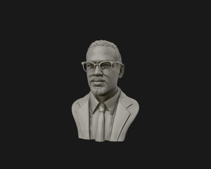 Busto 3d - Malcolm X