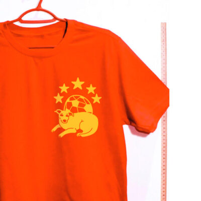 Camiseta Oversized - Seleção brasileira Caramelo
