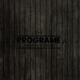 Adesivo_que_isso_camarada_-_Programe_como_uma_garota | Programe como uma garota